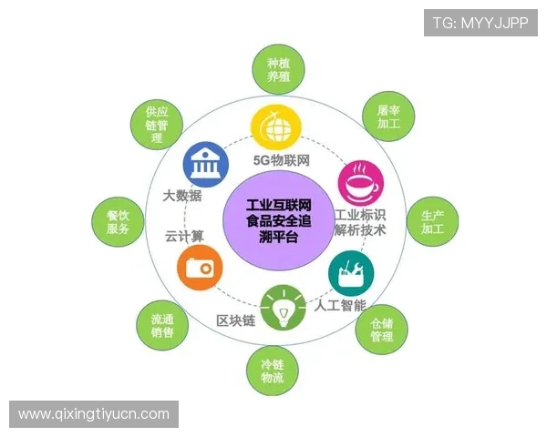 宝赢体育网页版登录安全保障措施全面解析确保用户信息安全和账号稳定登录体验 宝赢体育网页版登录安全保障措施全面解析确保用户信息安全和账号稳定登录体验